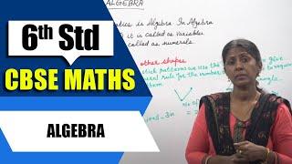 6th Std CBSE Maths Syllabus | Algebra | CBSE Maths