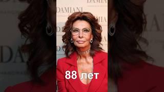 Sophia Loren at 88 years old. 10 secrets to look younger