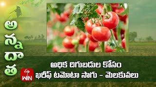 Kharif Tomato farming for good yields | ETV