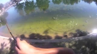 Simi valley Duck Pond Bass Fishing