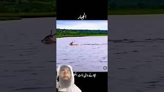 Deer vs Crocodile  | Khuda Unki Madad Karta Hai Jo Apni Madad AP Karty Hai ..