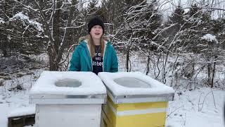 Our bees stay warm in the winter! 