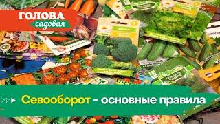 Голова садовая - Севооборот - основные правила