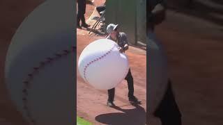 A's fans were having fun at their last game in Oakland ️ #MLB #baseball