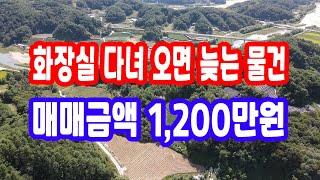 땅 시골 땅,매매 1,200만원 급매물과 반값매매 경북땅 시골생활 산 속 골 자연인 토지 매매 산 속 땅 싼 땅 산촌생활 산 골 땅 영주부동산 영주땅매매