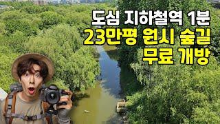 국내 최초! 서울에서 23만평의 원시 숲길을 만나다 |  국내 최초 생태공원! | 도심산책 | 대중교통 당일치기 여행ㅣ지하철 여행ㅣ트레킹 코스ㅣ서울산책