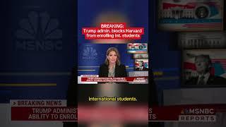Trump admin. blocks Harvard from enrolling international students