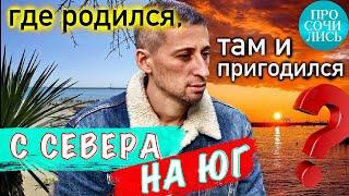 Переезд в Сочи отзывы переехавших спустя 5 лет жизни минусы Сочи работа и расходы Просочились