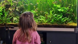 Should I get my Kid an Aquarium for Christmas?