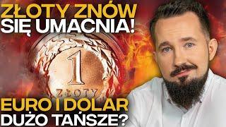 DLACZEGO ZŁOTY ZYSKUJE? DOLAR i EURO najtańsze OD LAT #BizON