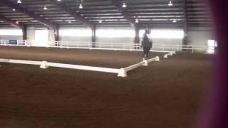 Jim Koford and Rhett Grand Prix freestyle Dressage at Lexin