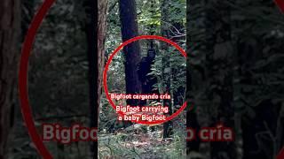 BIGFOOT CARGANDO CRÍA #bigfoot #nature #naturaleza