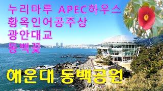 누리마루APEC하우스와 광안대교 전망이 일품인 해운대 동백공원