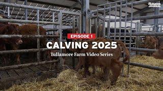 Tullamore Farm Video Series - Episode 1 - Calving 2025