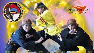 Silat Harimau Singgalang. Indonesian Martial Arts