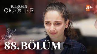 Kırgın Çiçekler 88. Bölüm | Sezon Finali @atvturkiye