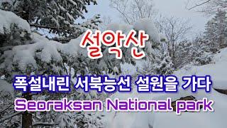 설악산에 폭설과 극한의 한파 입산통제 해제 후, 홀로 서북능선 설원을 가다