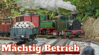 Herbstlicher Gartenbahn-Fahrtag mit sächs. IK & IV K | 20.10.2024