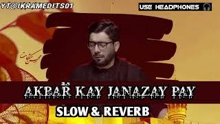 Akbar kay Janazay pay new noha (slow & reverb) #viralvideo mir Hassan mir noha