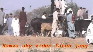 Hamza Sky Video Fateh jang