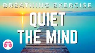 Breathing Exercises with Guided Meditation | 5 Minutes | TAKE A DEEP BREATH