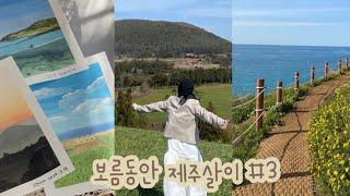 보름동안 제주살이#3 / jeju vlog • 방긋스낵 • 비자림 • 카페록록 • 아부오름 • 하도핑크 • 함덕서우봉 •  무거버거 • 책다방 • 재주그림관 • 요요무문 • 수카사