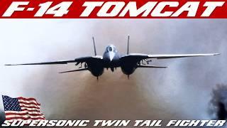 F-14 Tomcat | History Of Grumman Twin-Engine, Twin-Tail, Variable-Sweep Wing Fighter Aircraft