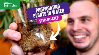 Propagating plants in water | 7 tips for SUCCESS