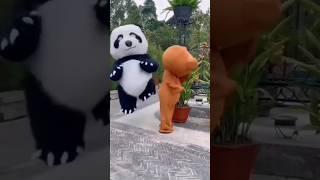 teddy bear funny moment #shorts #youtubeshorts #shorts #cutebaby #shortvideo