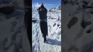 Kailash Manasarovar Yatra | Inner Kora | Charan Sparsh Trip | Alpine Eco Trek | #ytshorts #foryou