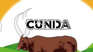 CUNDA BY RUTI JOEL (visualizer)