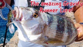 The new "Gravity Runner 100" lure from Savage Gear! Fishing, tips and tricks!