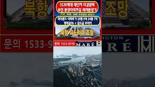 2205세대 대단지  25평 5억대 34평 6억대 계약금5%+중도금무이자 해링터마레 북항재개발