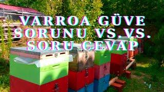 ARICILIK BİLGİLERİ/VARROA GÜVE KURDU VS SİZLERDEN GELEN SORULARA CEVAP!