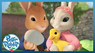 @OfficialPeterRabbit- EGG-citing Easter Adventures & Hunts With Friends 2024  | Cartoons for Kids