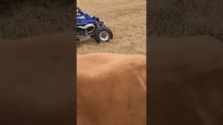 DS 650 VS Yamaha Banshee #atv #banshee #dirtbike #DS650