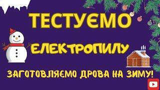 Тестуємо електропилу Зеніт ЦПЛ 355/1300. Заготовляємо дрова на майбутню зиму!