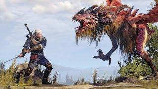 The Witcher 3: Dwarf Man vs Beetle Dragon