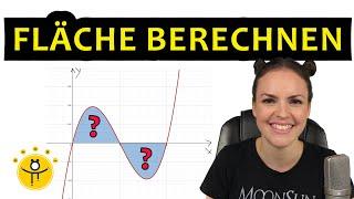 FLÄCHE berechnen INTEGRAL – Integralrechnung Flächenberechnung