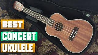 Most Amazing Concert Ukuleles in 2024