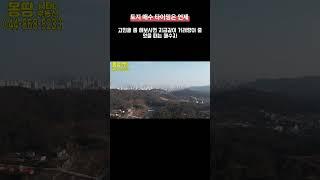 토지매수타이밍은 언제 ?세종 몽땅부동산 공인중개사