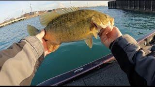 Catching BIG Wintertime SMALLMOUTH on Lake Michigan!