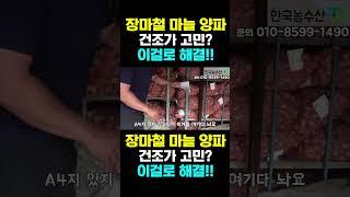 [한국농수산TV] 장마철 마늘 양파 건조고민? 차압식 건조기로 고민 해결