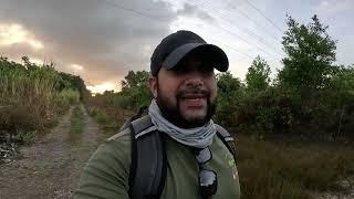 SOLO ADVENTURE IN THE BUSH! Walking Into A Mangrove Swamp In Search Of Fish - Trinidad, Caribbean