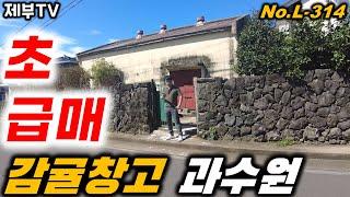 (초급매) 1억 5천이나 인하했어요 빨리 팔고 싶으시대요 제주도 감귤창고 매매 제주도 과수원 매매라 인기도 좋아요 정말 좋은 기회에요