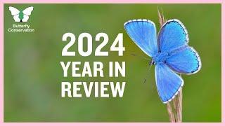 Butterfly Conservation's 2024 Year in Review