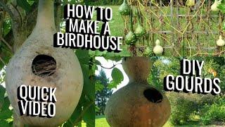 DIY Birdhouses from Homegrown Gourds