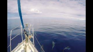 Sailing Azores to the UK single handed on a Vancouver 28