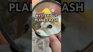 MYSTERIOUS South Korea Airport Crash?! #goofyahh