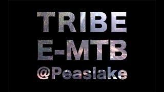 Bike Ride Tribe E-bike Peaslake